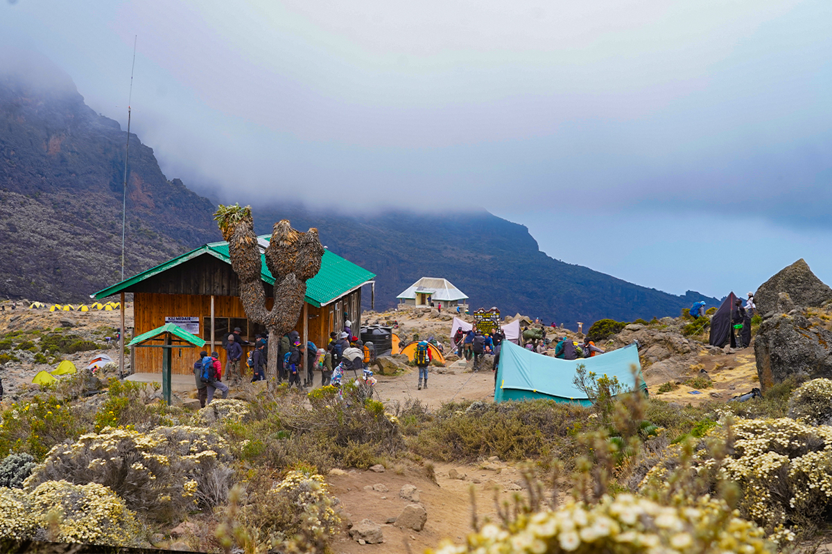 accommodation in kilimanjato
